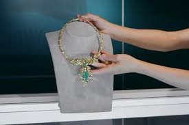 Image result for Dissotis melleri