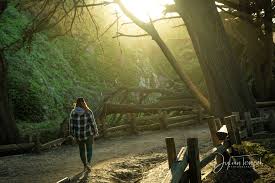 Profile for Dylan Tenfel Photography