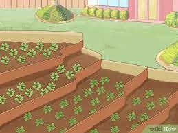 Use at least 3 inches of mulch that. How To Prevent Soil Erosion 15 Steps With Pictures Wikihow