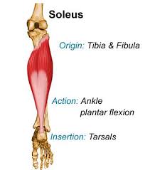 Use red to identify origin and blue to identify insertion point on your labeling. Facebook