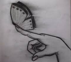 Pin On Mariposas