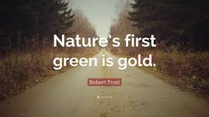But only so an hour. Robert Frost Quote Nature S First Green Is Gold