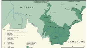 Image result for Pycreus fibrillosus