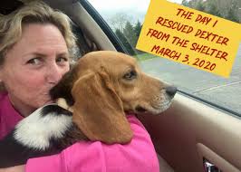 Please share this post! The more, the merrier! Countdown is REALLY ON now —  only 7 days until our next big event! 🎉🐾 Througout the next week, we will  be sharing sneak