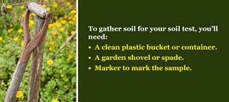 Says the lime cures the cut potato so it doesn't rot and helps keep insects from eating the potato. Pin On Organic Gardening