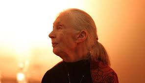 The 81-Year Evolution Of Jane Goodall