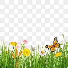 Inspirasi background taman yang asri di dalam ruangan. Gambar Rumput Musim Semi Dengan Latar Belakang Kupu Kupu Yang Indah Kupu Kupu Hijau Musim Semi Png Transparan Clipart Dan File Psd Untuk Unduh Gratis Butterfly Background Butterfly Clip Art Butterfly