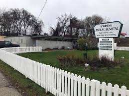 Johnsen animal hospital has provided expert medical and surgical care for companion pets since may 15, 1978. Wyoming Mi Veterinary Hospital Veterinary Hospital In Wyoming
