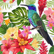 The best selection of royalty free tropical floral pattern vector art, graphics and stock illustrations. Floral Tropical Seamless Pattern With Exotic Flowers And Humming Bird Blooming Flowers Birds And Palm Leaves Background For Fabric Wallpaper Textile Vector Illustration Stock Vektorgrafik Adobe Stock