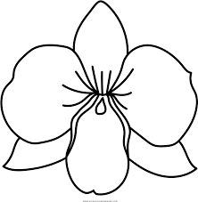 Free orchids coloring pages for kids are available online. Orchid Clipart Coloring Page Dibujo De Una Orquidea Png Download Full Size Clipart 748982 Pinclipart
