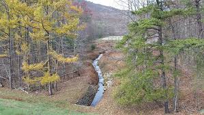 Maybe you would like to learn more about one of these? Pa Dcnr Cowans Gap State Park State Parks Winter Hiking Park