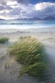 Beach At Luskentyre With Dune Grasses Blowing Photographic Print Lee Frost Allposters Com Landscape Pictures Beach Photography Beach Photos