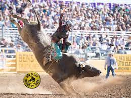 All achieved in his legendary jailbird trunks. Bull Riding