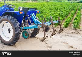 Essay by essayswap contributor, high school, 12th grade, february 2008. Blue Tractor Image Photo Free Trial Bigstock
