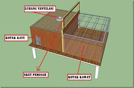 Maybe you would like to learn more about one of these? Cara Membuat Kandang Burung Dara Yang Sederhana Membuat Kandang
