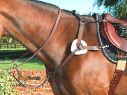 It was sponsored by procter & gamble in its sunday night, 8:30 p.m. 11 Beautiful Breastplates You Will Want To Buy Horse Hound