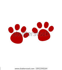 The back right paw is finishing the previous step and is about to be lifted off the ground completely. Shutterstock Puzzlepix