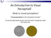 Visual perception 1 | PPT
