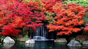 We did not find results for: Autumn Falls Desktop Background Hd Wallpapers 1629361 2560x1600 Autumn Wallpapers13 Com