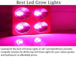 Here are the things you need to consider when choosing the best led hydroponic grow lights the device itself is very compact. Best Led Grow Lights Ledhydroponics Co Uk By Alvaro Lucius Issuu