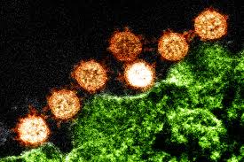As Mysterious Coronavirus Spreads, An Infectious Disease Expert ...