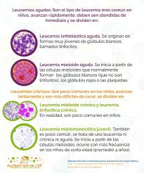 Este subtipo de leucemia mieloide aguda tiene características clínicas y biológicas pronunciadas y está asociado con la altura de los leucocitos, las anomalías de la coagulación y la afectación extramedular. Anseriap Auf Twitter Sabiasque Existen Varios Tipos De Leucemias Entre Las Mas Comunes En Ninas Ninos Y Adolescentes Se Encuentran Leucemia Linfoblastica Aguda Mas Comun Leucemia Mieloide Aguda Segundo Tipo