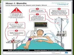The 2018 surviving sepsis campaign's treatment bundle: Tips And Tricks For Sepsis Bundle Compliance Ppt Download