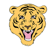 How To Draw A Tiger Face In A Few Easy Steps Easy Drawing Guides Tiger Face Tiger Drawing Easy Drawings