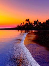 Зеленая трава с росой на обои. Plyazh Mobilnyj Telefon Smartfon Oboi Plyazh Kartinki Plyazh Foto 240x320