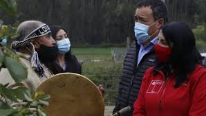 Si deseas saber si te corresponde el nuevo bono covid navidad, debes ingresar a: . Calcular Quinto Ingreso Familiar De Emergencia Como Saber Si Soy Beneficiario Como Postular Al Quinto Ife Ver Registro Social De Hogares Fecha De Pago Ife Quinto Y Sexto