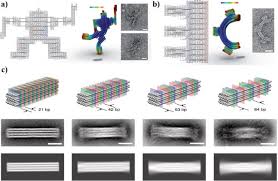 Help us verify the data and let us know if you see any information that needs to be changed or updated. The Path Towards Functional Nanoparticle Dna Origami Composites Sciencedirect