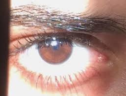 Brown Eyes Aesthetic