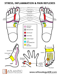 Foot Reflexes Special Points Stress Pain Inflammation