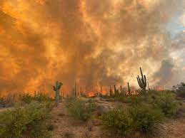 Take a shuttle bus from phoenix sky harbor airport, az to payson, az. Massive Wildfire Closes Highway To Payson Arizona News Pinalcentral Com