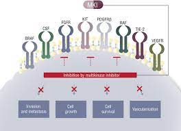 Mechanism Of Action Multikinase Inhibitors