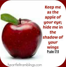 We did not find results for: You Are The Apple Of His Eye Psalm 17 Apple Christian Motivation