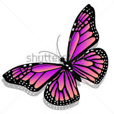 Drawing Pictures Of Butterfly With Colour Max Installer Zentangle butterfly coloring page from butterfly category. drawing pictures of butterfly with