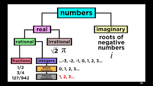 what are the types of numbers real vs imaginary rational vs irrational