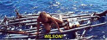 Image result for wilson hanks castaway gif