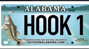 What should someone who has very little currently there is a bill in ca that is trying to change the way our license works… currently all california fishing licenses expire at the end of year. New Design For Alabama Fishing License Available
