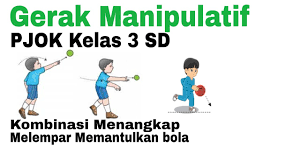 Anak perlu diperkenalkan dengan olah raga sedini mungkin, misalnya melempar/menangkap bola, melompat, main tali, naik sepeda dll). Pembelajaran Daring Pjok Kelas 3 Gerak Manipulatif Kombinasi Melempar Menangkap Dan Memantulkan Bola Youtube