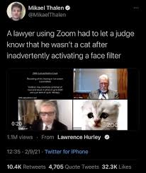 Lawyer rod ponton on feb. I M Not A Cat Album On Imgur