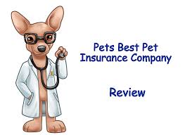 Healthy paws offers one comprehensive pet insurance plan covering: Pets Best Pet Insurance Company Review