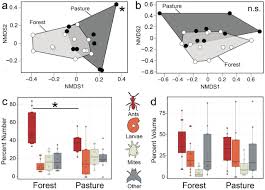 If this is your first visit, be sure to check out the help on using frog forum. Land Use Impacts Poison Frog Chemical Defenses Through Changes In Leaf Litter Ant Communities Biorxiv