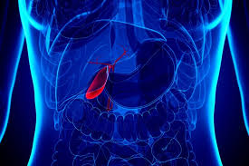 It is roughly the shape of a pear and measures around 4 inches long in adults. Pictures Of Signs You Re Having A Gallbladder Attack