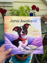 Image result for Tarenna junodii