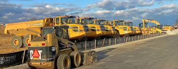 Image result for Natural Yellow 1999 Fleet