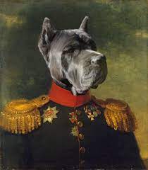 Custom Pet Portrait From Photo Royal Pet Portrait Etsy Dog Portrait Drawing Pet Portraits Custom Pet Portraits