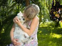 They will be able to detect a silent heat. Dog Age Chart Dog Years To Human Years How Old Is My Dog The Old Farmer S Almanac