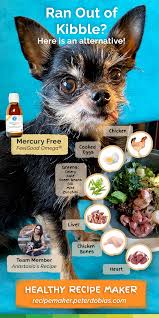 Kibble Shortage Try The Free Recipe Maker In 2020 Healthy Puppy Recipe Maker Dog Recipes